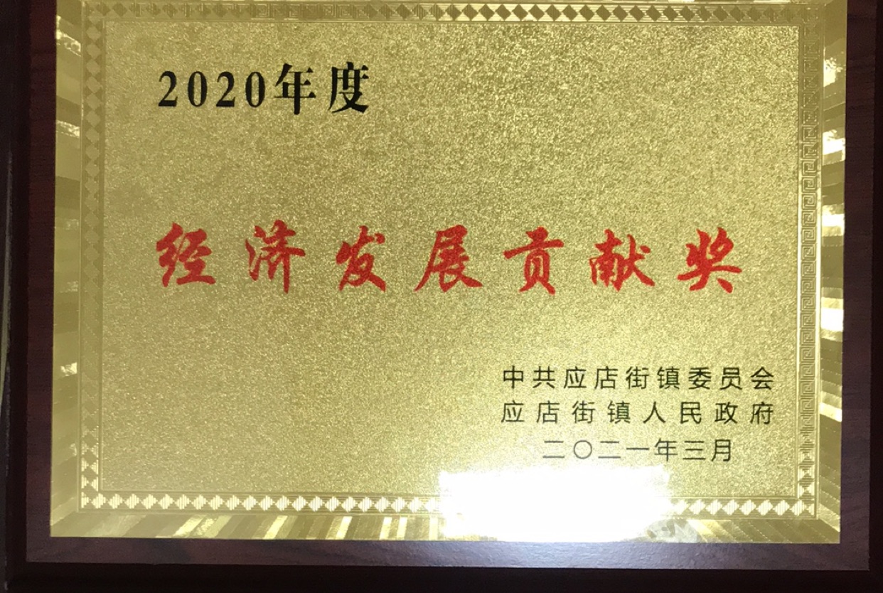 2020年度經(jīng)濟發(fā)展貢獻獎